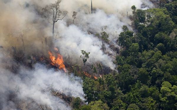 El Niño pode potencializar fogo na Amazônia, alertam